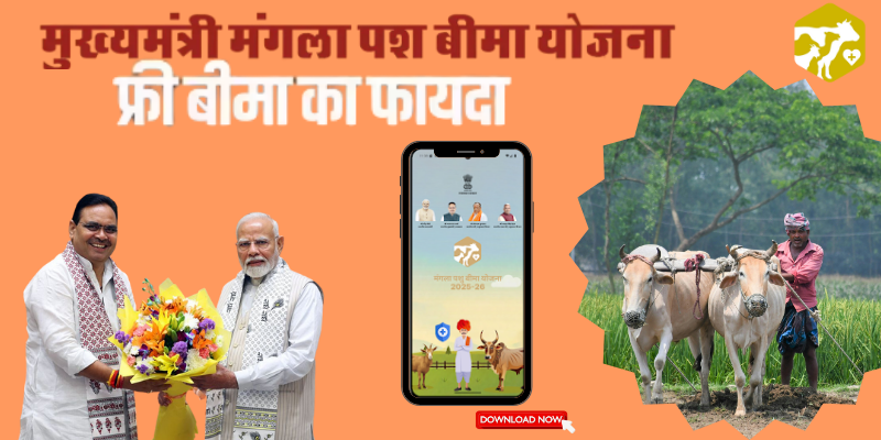 Mangla Pashu Bima Yojana